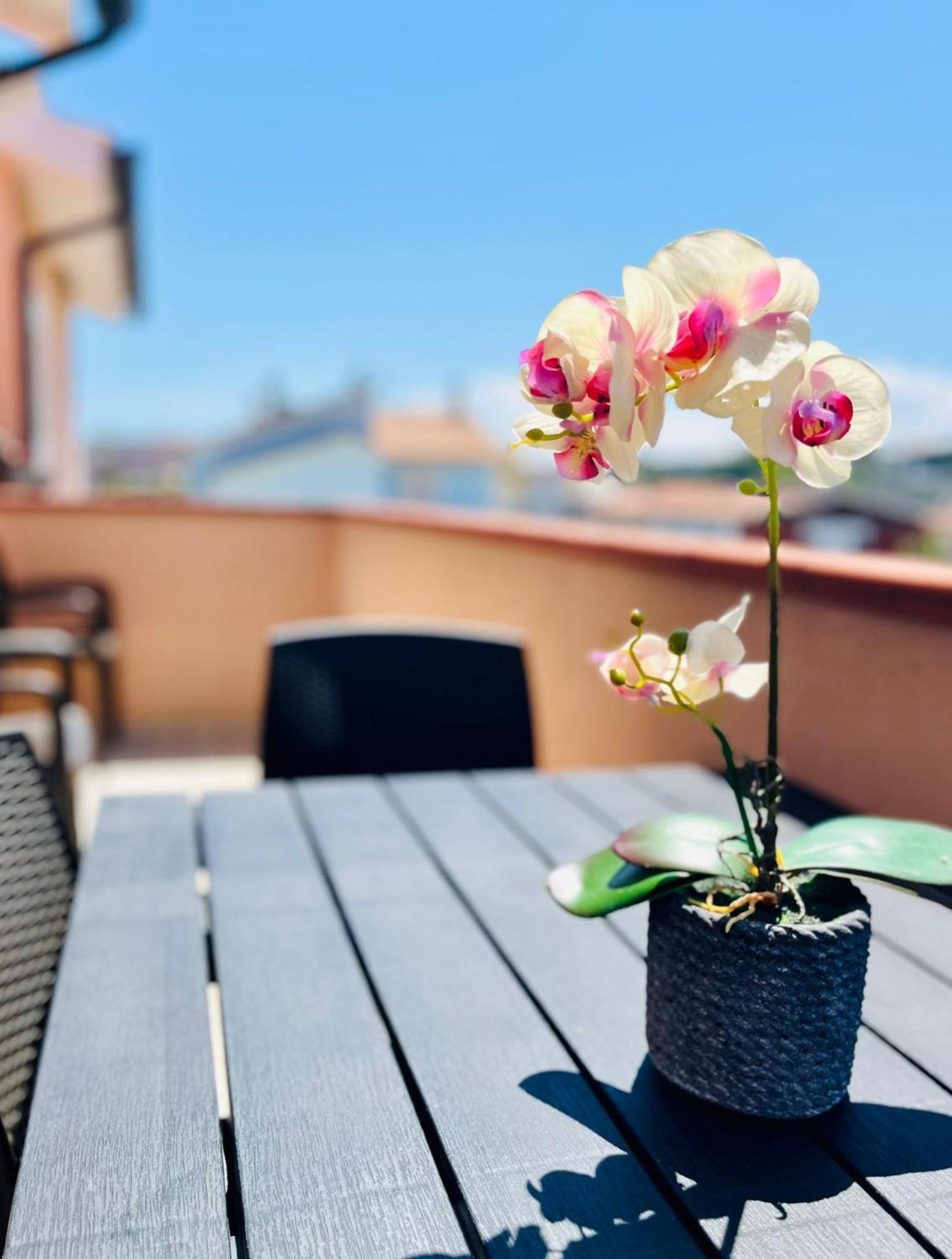 Conero Casa - Marcelli Di Numana In Via Litoranea 101 Sul Mare Vista Spiaggia Con Parcheggio Esclusivo Экстерьер фото
